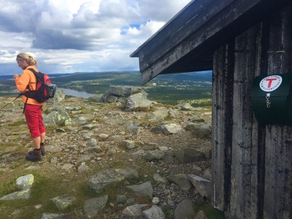 Toppen av Nevelfjell