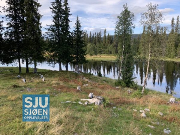 Elva Åsta renner vakkert igjennom landskapet
