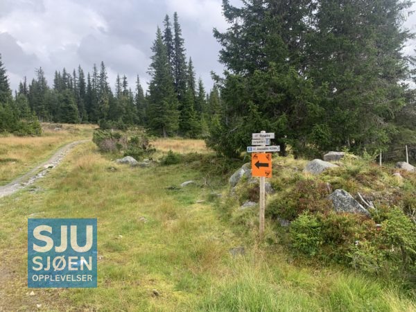 Litt offroad mot Bjønnåsen
