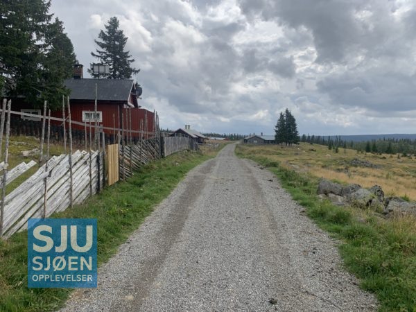 Nysetra på sommerstid